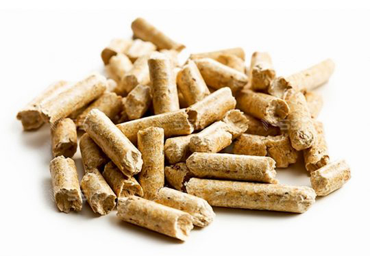 Serbia large biomass energy potential
