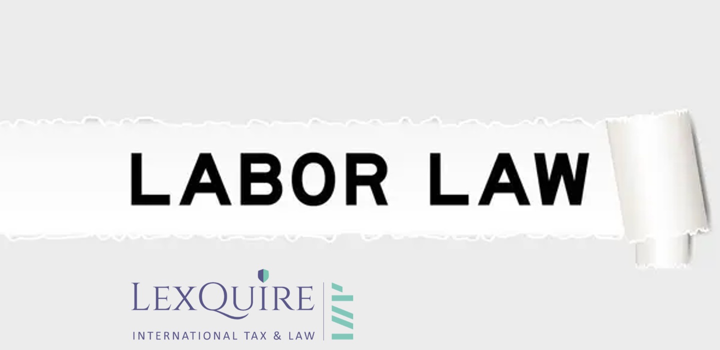 Annex to the Employment Contract for Transfer to Another Suitable Job (Due to the Needs of the Work Process and Organization)