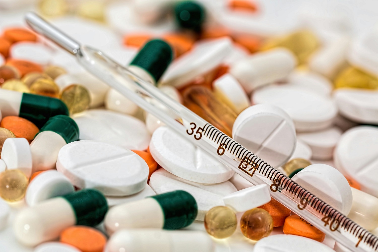 E-sick leave software to be introduced in the first quarter of 2025
